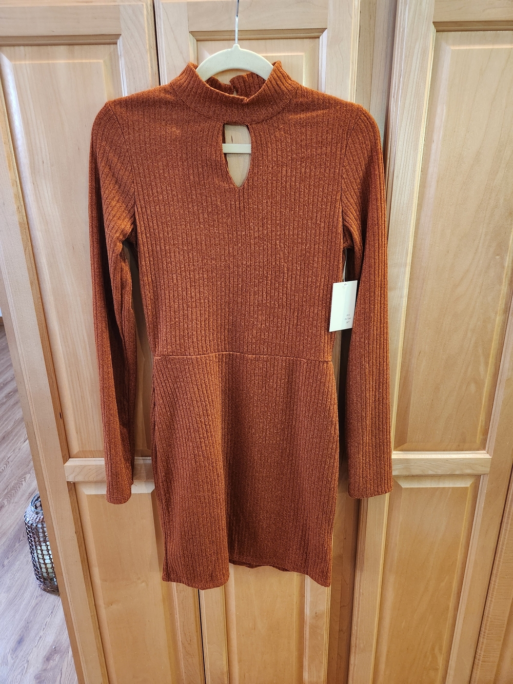 Mock Neck Ribbed Long-Sleeve Dress in Rust